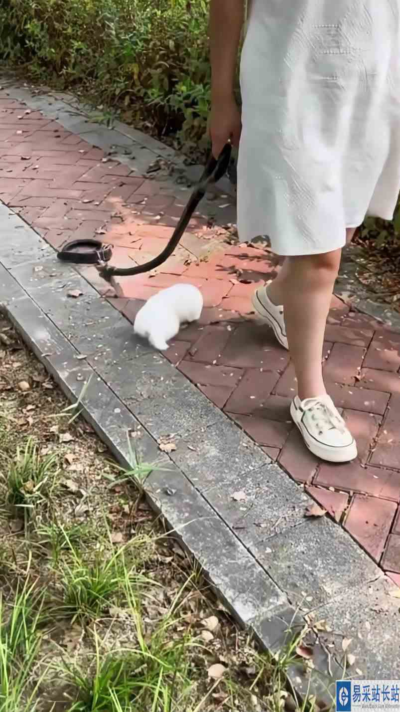 这个圈怎么就进不去呢？
