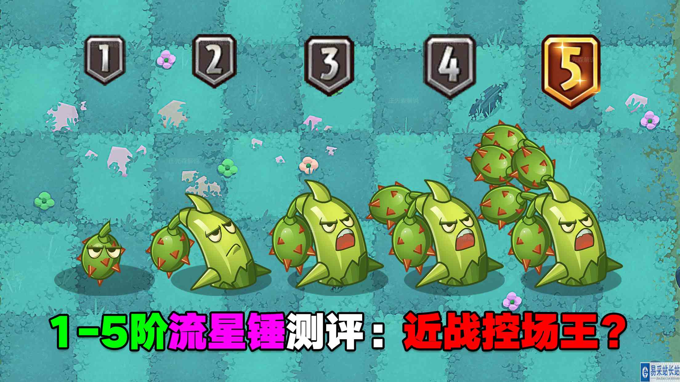 1\-5阶刺果流星锤测评：他会是近战界的控场王吗？#最强射手组