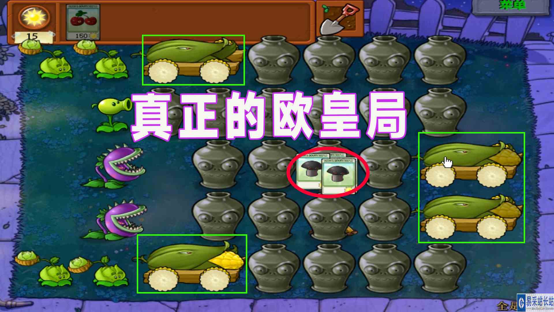 植物大战僵尸：欧气爆棚，全程紫卡不断#植物大战僵尸
