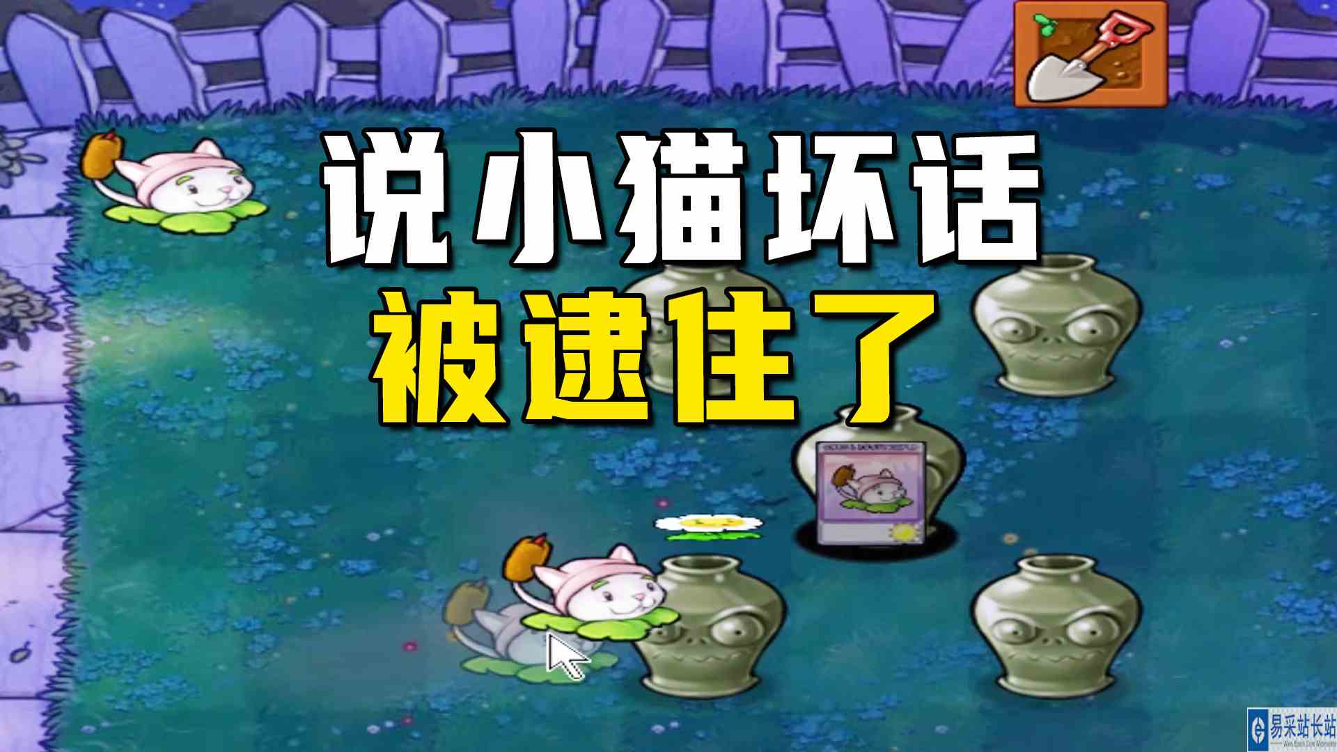 植物大战僵尸：我们意念和一（下），说小猫坏话被逮住了#植物大战僵尸#单机游戏