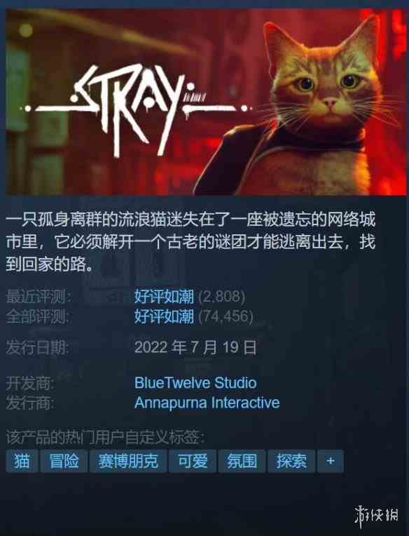 猫咪游戏《Stray》Steam首促!《破晓传说》新史低