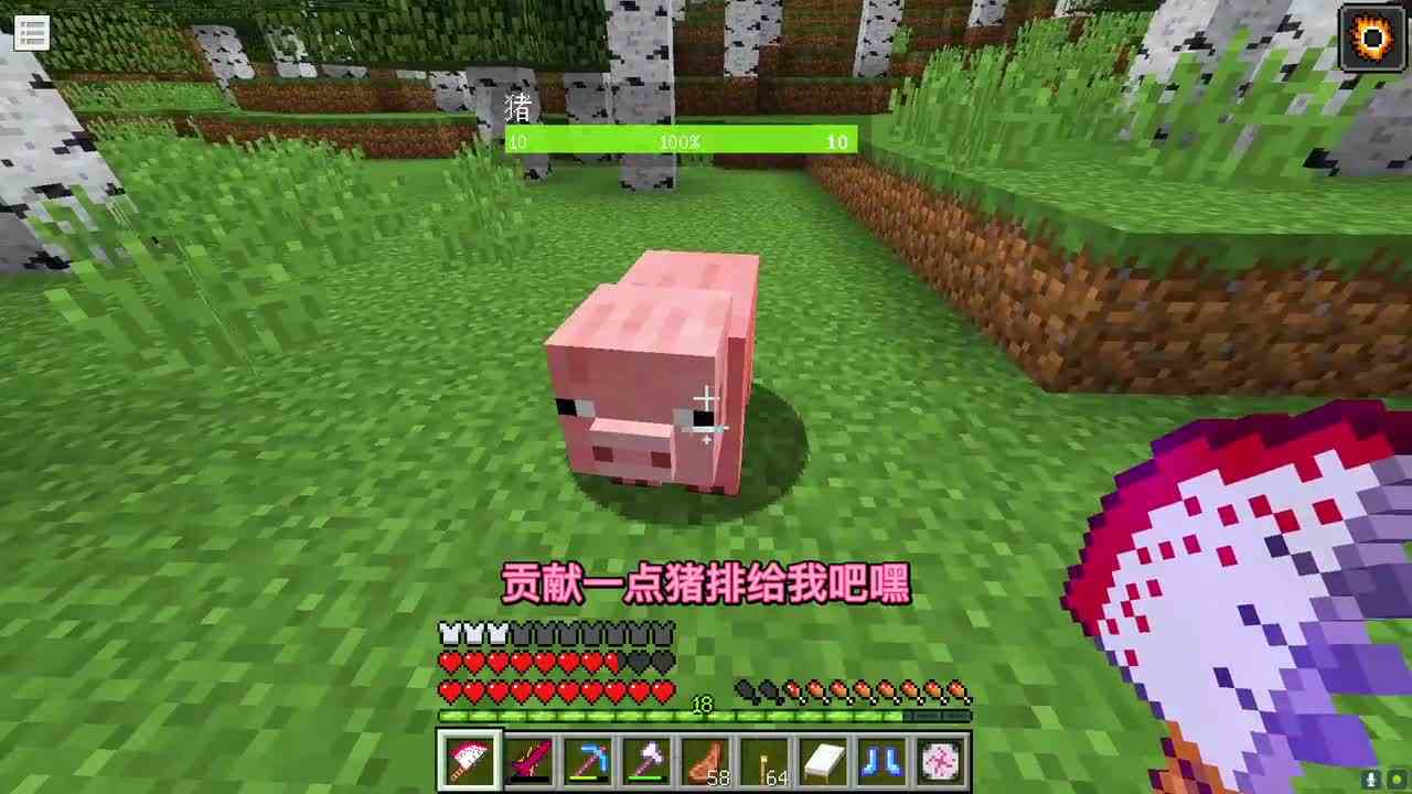 等价幸运4：被加速991倍的甘蔗你见过吗？无限生长