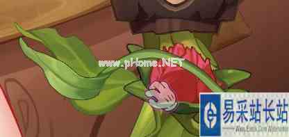 《lost2》攻略大全