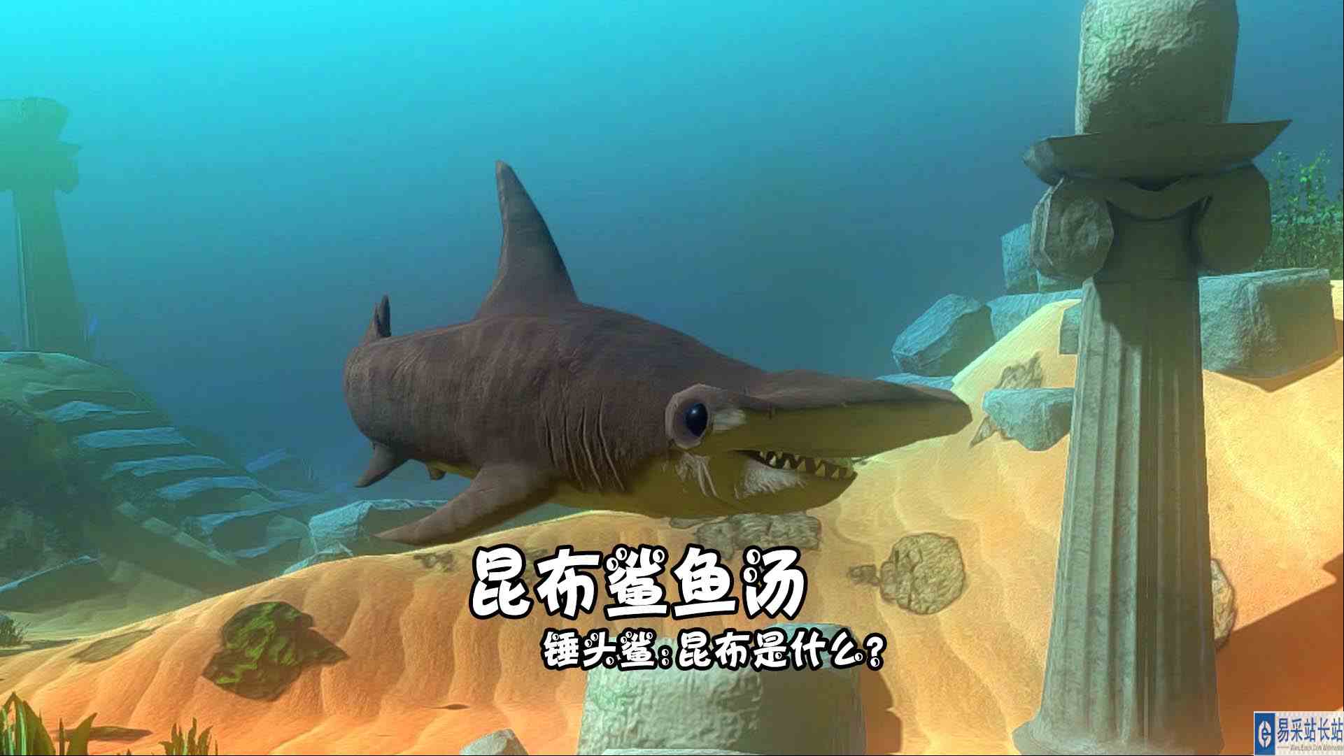 天铭 海底大猎杀 第三季 187 昆布鲨鱼汤，锤头鲨：昆布是什么？#海底大猎杀#锤头鲨