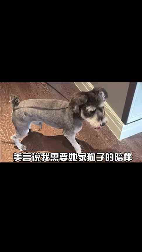 没想到这个对它吸引力这么大