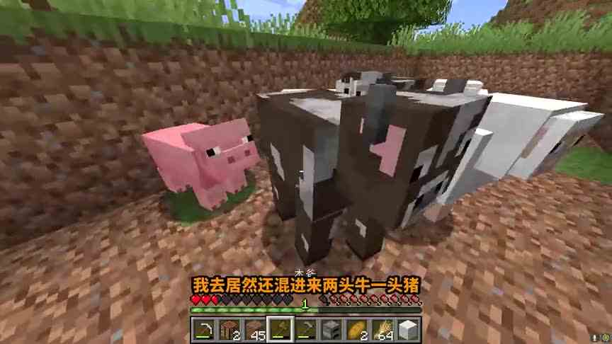 MC规则通关挑战：剪羊毛掉落稀有物品！最后200个TNT炸飞末影龙！