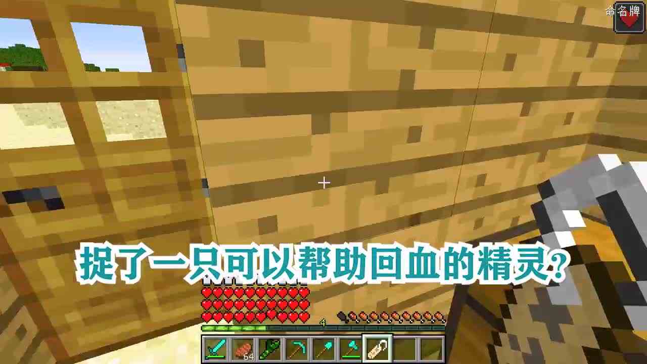 我的世界：捉了一只可以帮助回血的精灵？