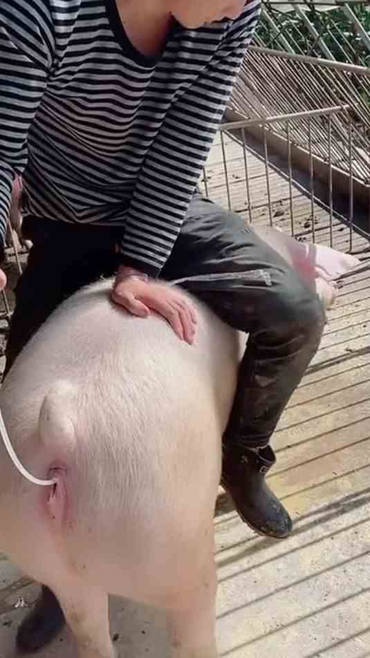 分享内容每日更新视频看看