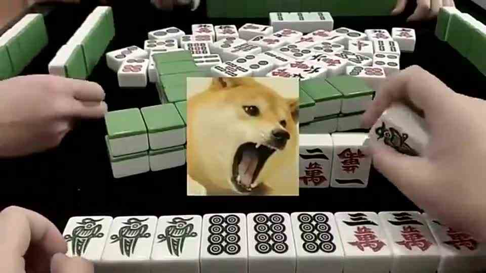 麻将：就见不了鸡过路！