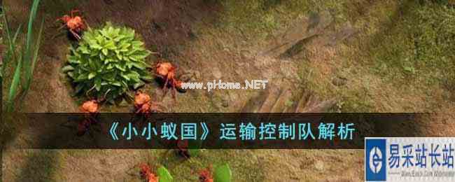 《小小蚁国》运输控制队解析