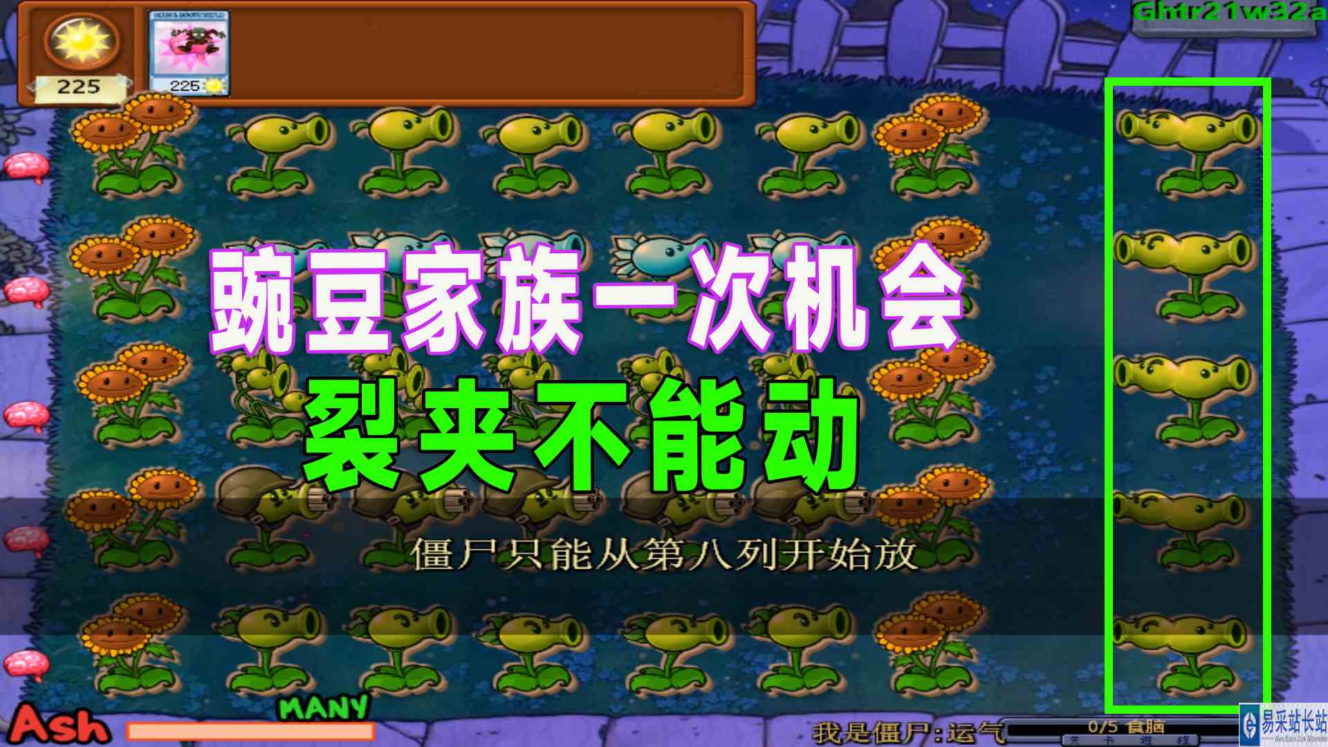 植物大战僵尸：豌豆家族VS随机僵尸#植物大战僵尸
