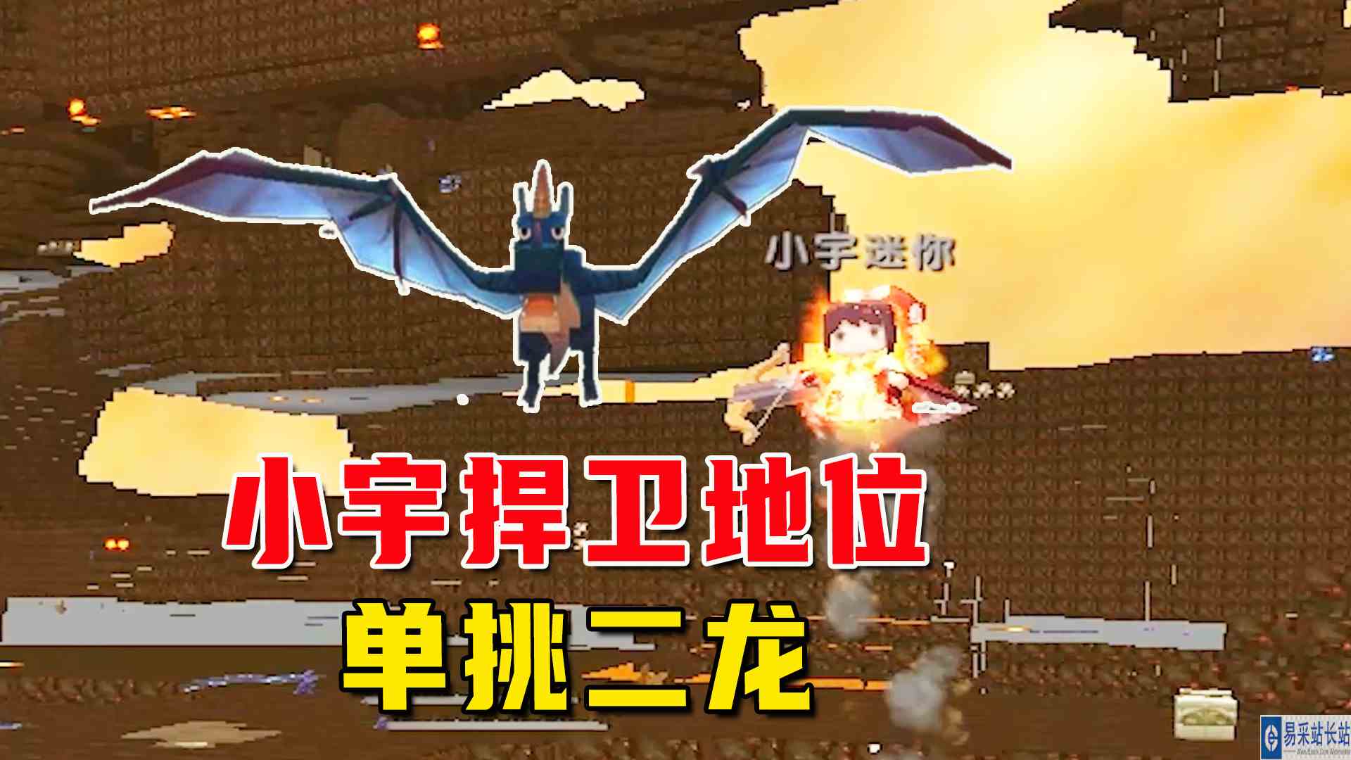迷你沙漠极限生存22：小宇为地位单挑二龙，妹子搬好板凳准备吃席#迷你世界#沙盒游戏