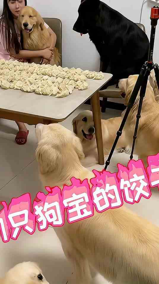 ……感谢支持 点赞关注