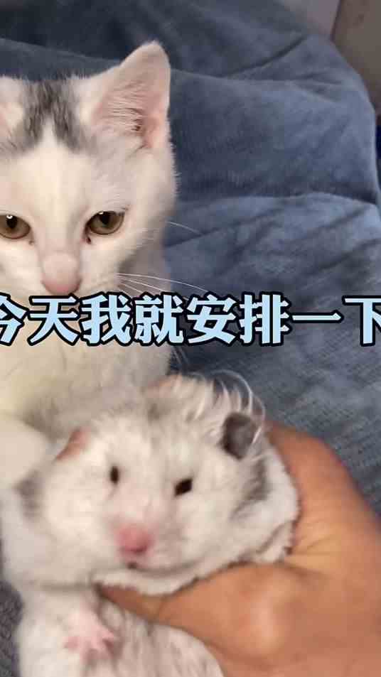千万不要模仿我。