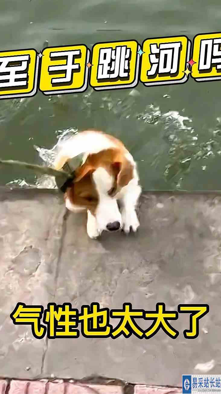 你跳河干什么，你这气性也太大了吧