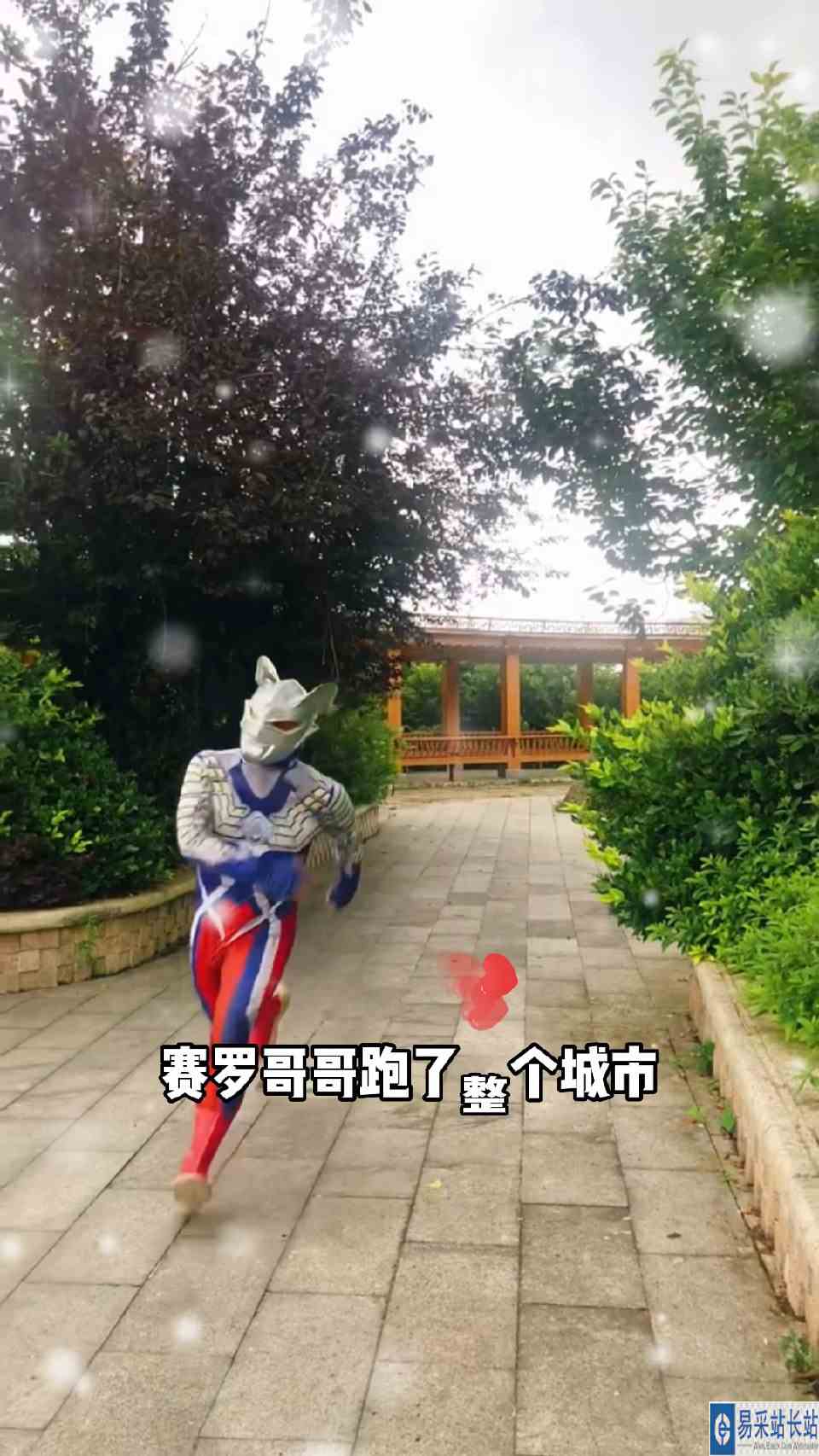 赛罗去买奶茶