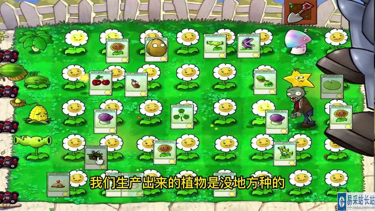植物大战僵尸165：满屏骄阳向日葵，有兴趣吃僵王的席吗？