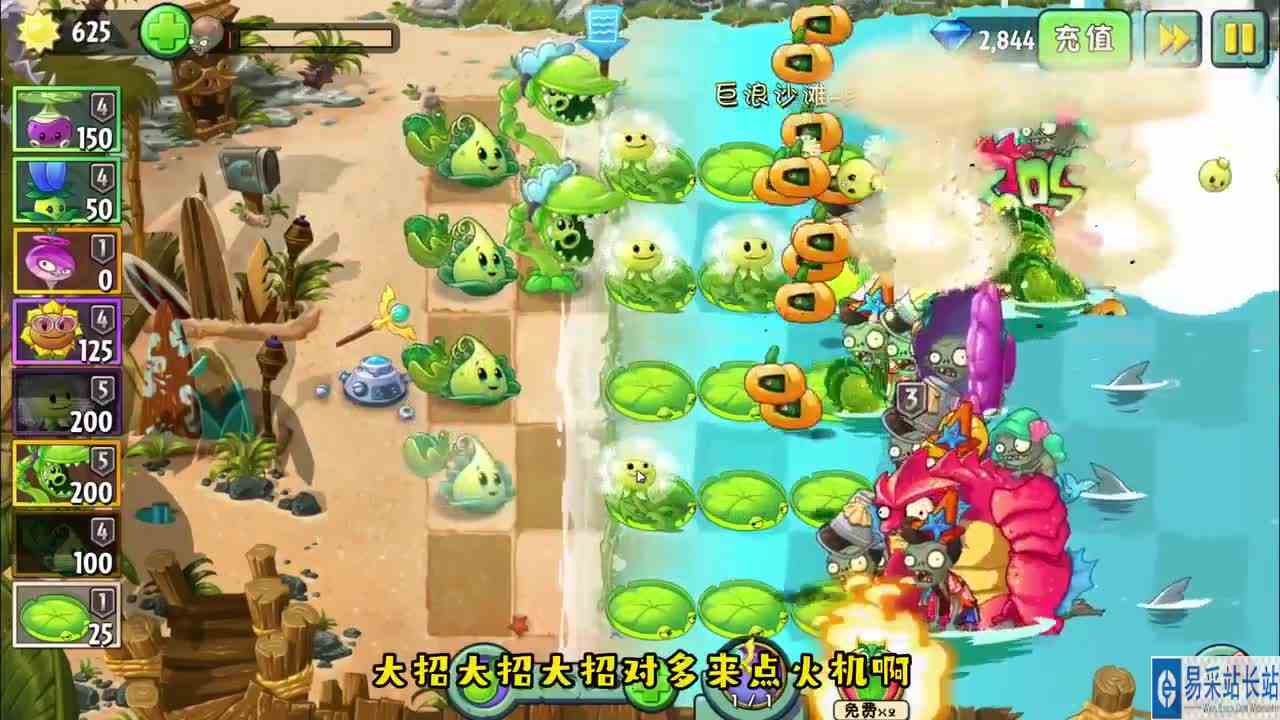 植物大战僵尸：火鸡投手食人花豌豆蒲公英挑战鲨鱼僵博！