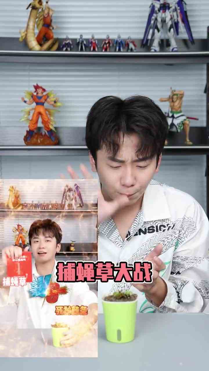 捕蝇草第二弹，你们觉得谁会赢。