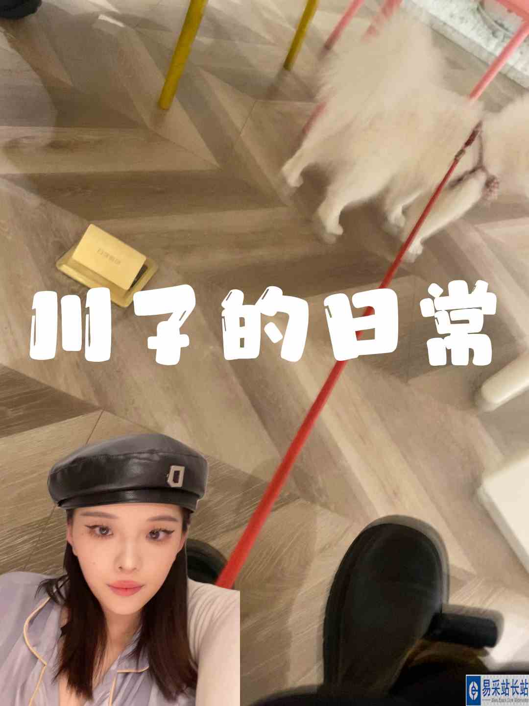 最近除了和馒头玩就是在捯饬各种稀奇古怪的造型