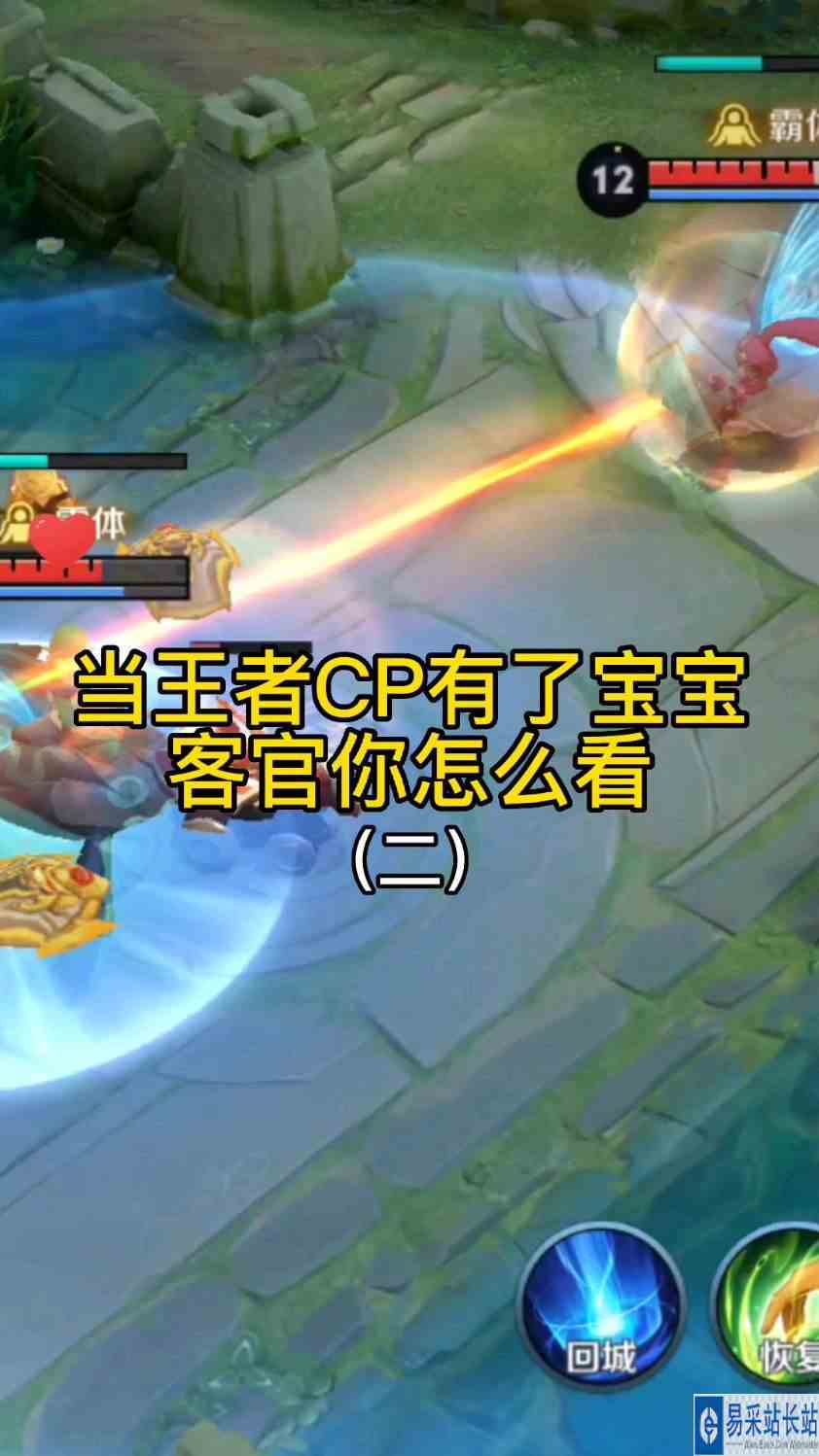 王者cp英雄有了宝宝