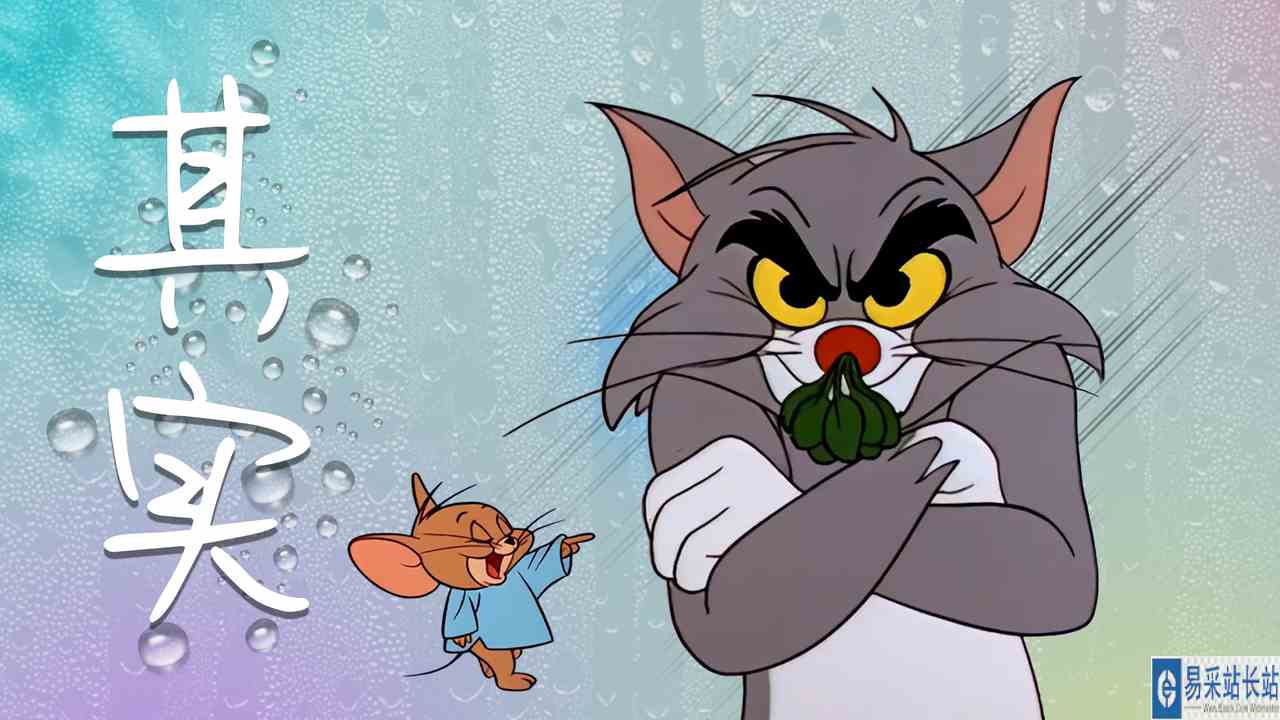 猫和老鼠：汤姆杰瑞联动薛之谦，是你没见过的版本