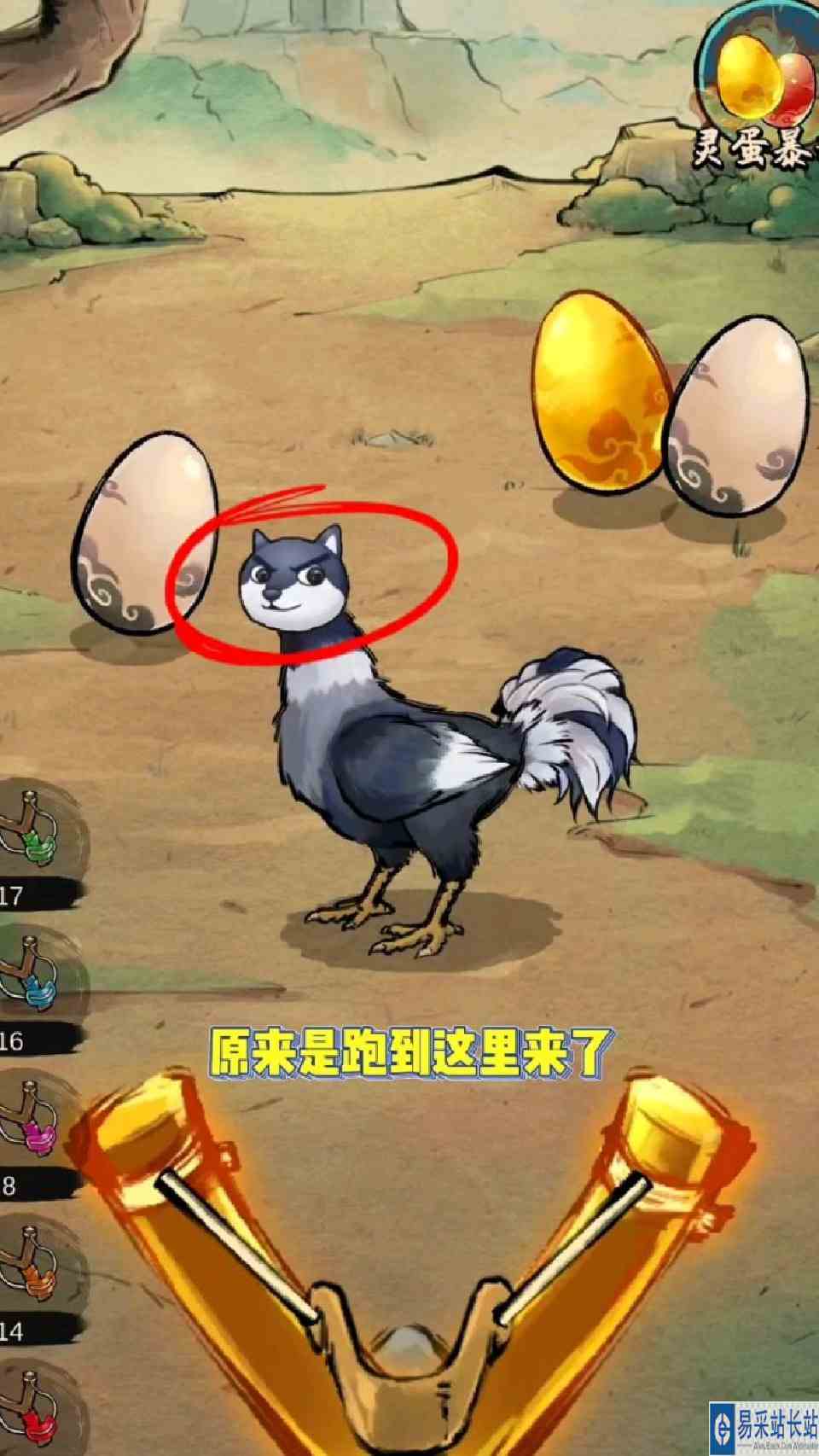 狗头竟然变成一只狗头鸡