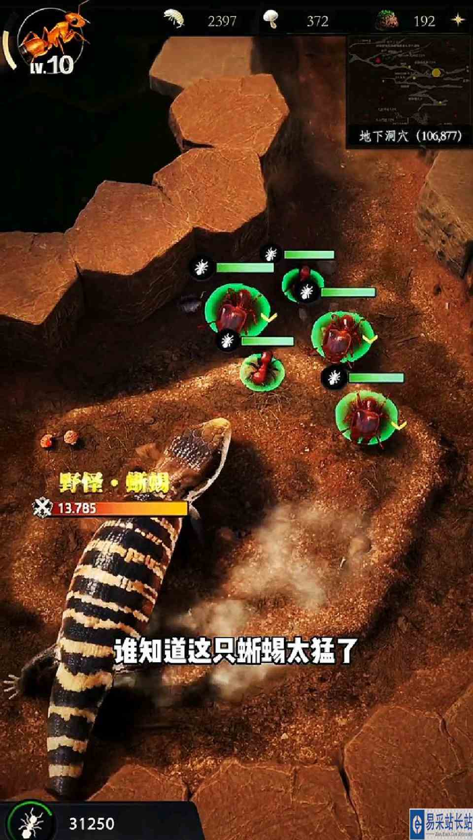 蜥蜴居然灰溜溜逃跑了！
