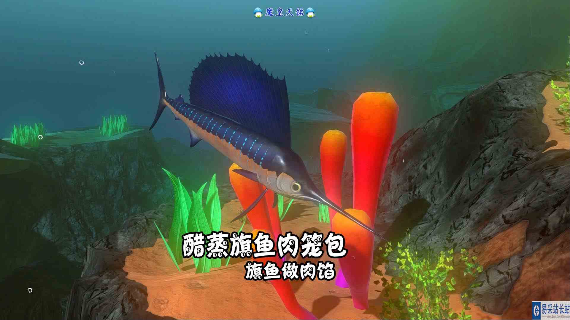 天铭 海底大猎杀 第三季 188 醋蒸旗鱼肉笼包，旗鱼做肉馅！#海底大猎杀#旗鱼
