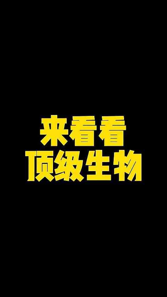 我的世界：梦轩的合情合理外挂史蒂夫 174