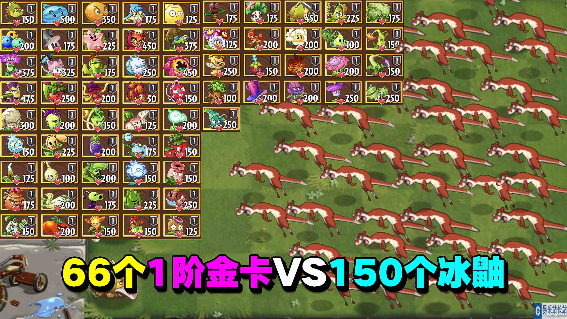 PVZ测试：66个1阶金卡VS150个冰鼬！你猜猜谁会赢？#最强射手组
