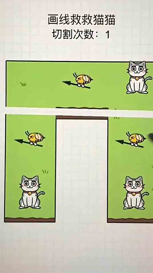 画线救救小猫咪