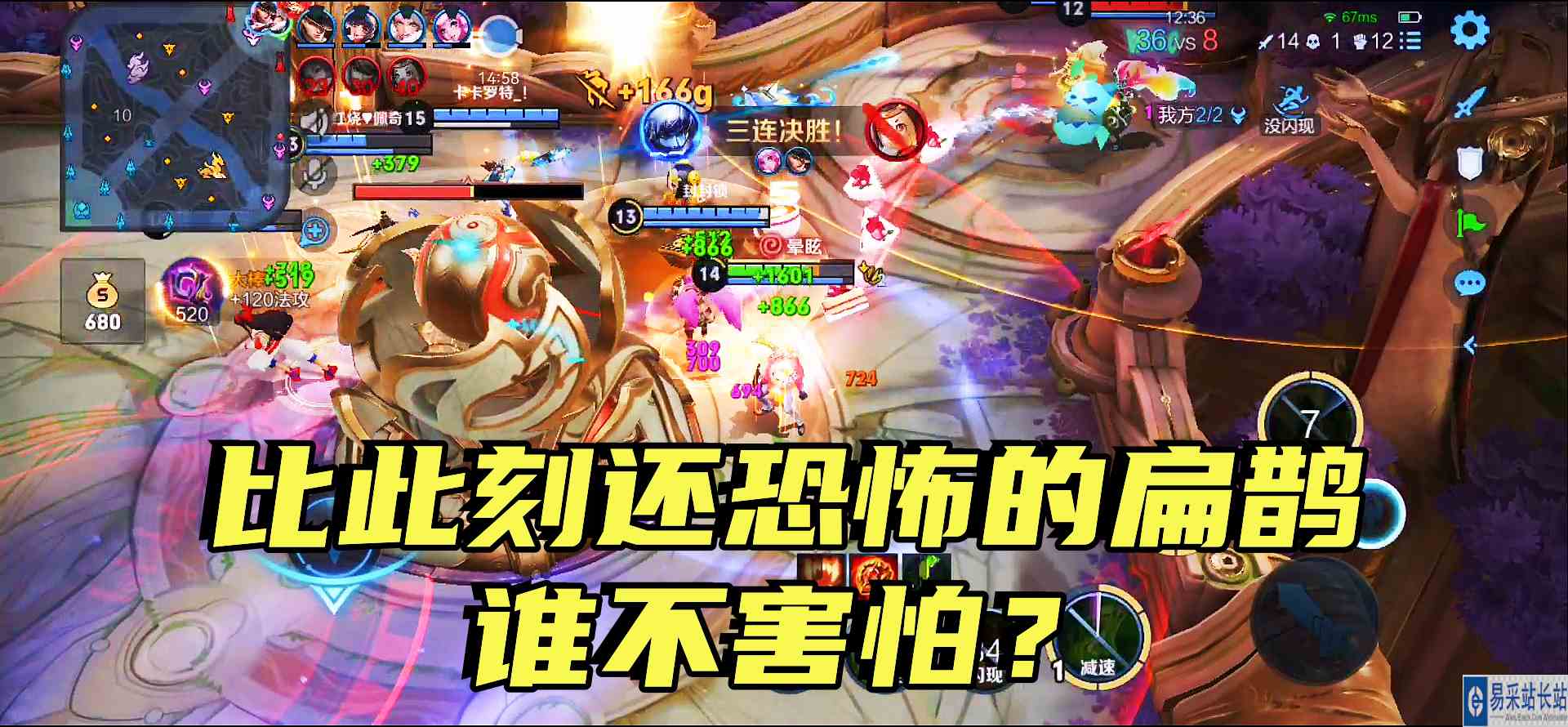 这样的扁鹊才是最恐怖的扁鹊，12分钟连拿14杀，对面要玩哭了！#最强中路组#游戏解说