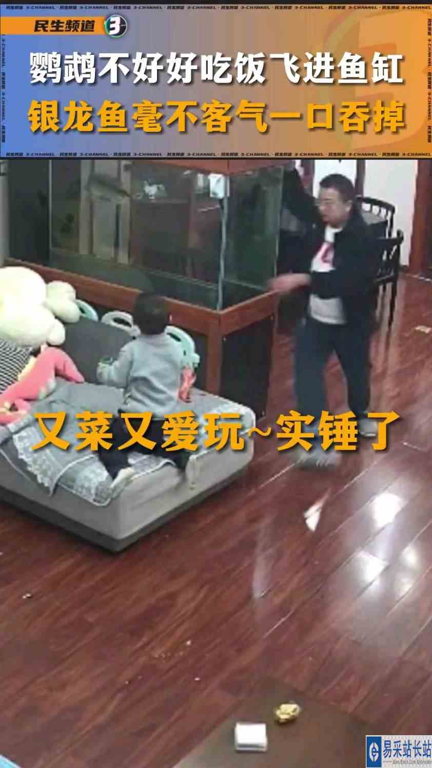 “又菜又爱玩~实锤了”