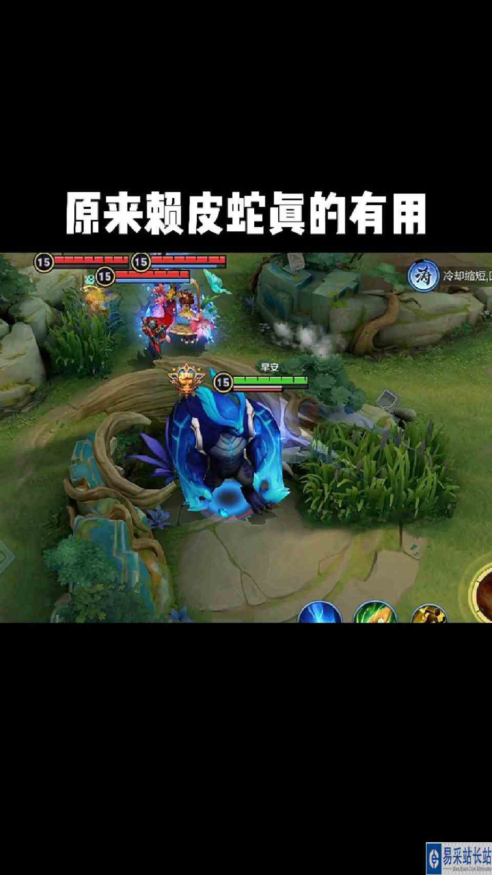 原来赖皮蛇真的很有用