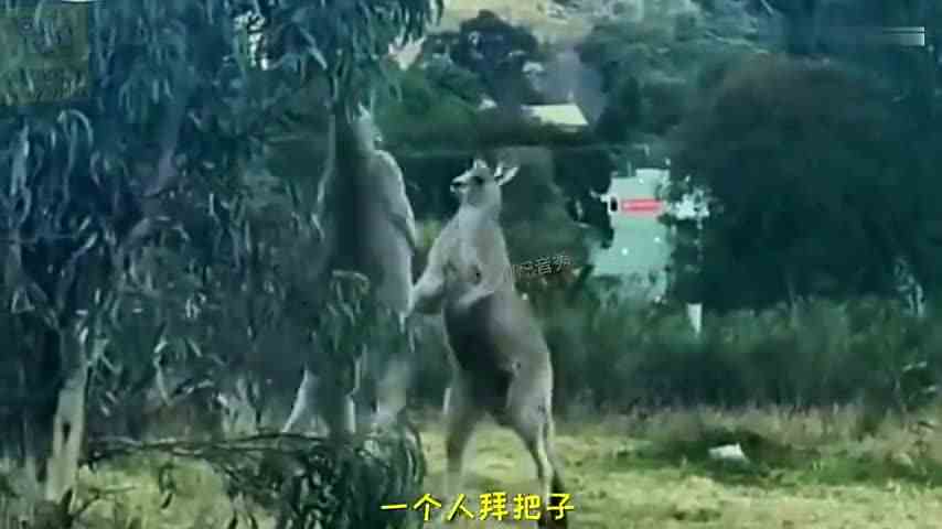 你服不服？不服我就打到你服