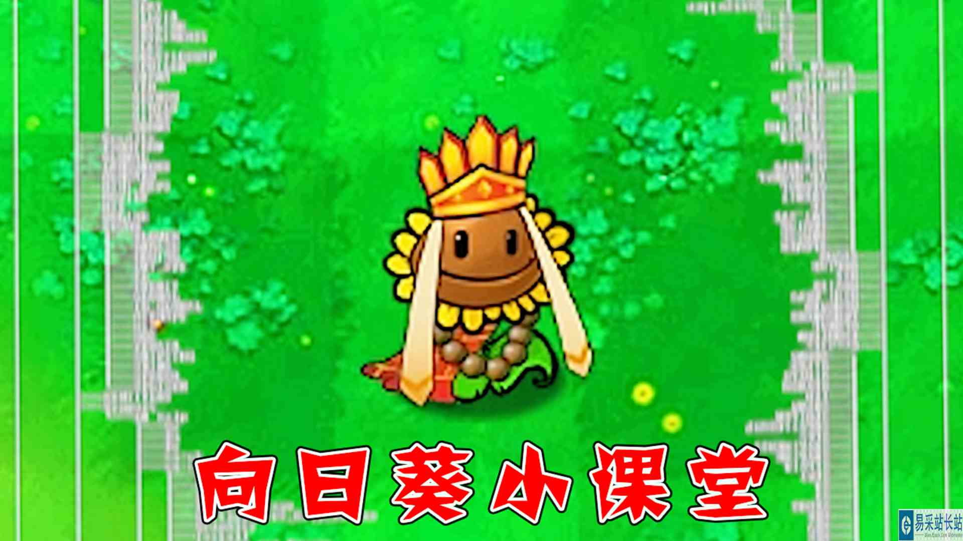 植物大战僵尸：向日葵小课堂正式开课了！
