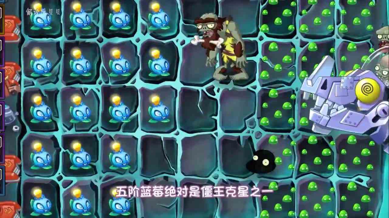植物大战僵尸：有些僵王28岁就“死”了！300岁才埋！