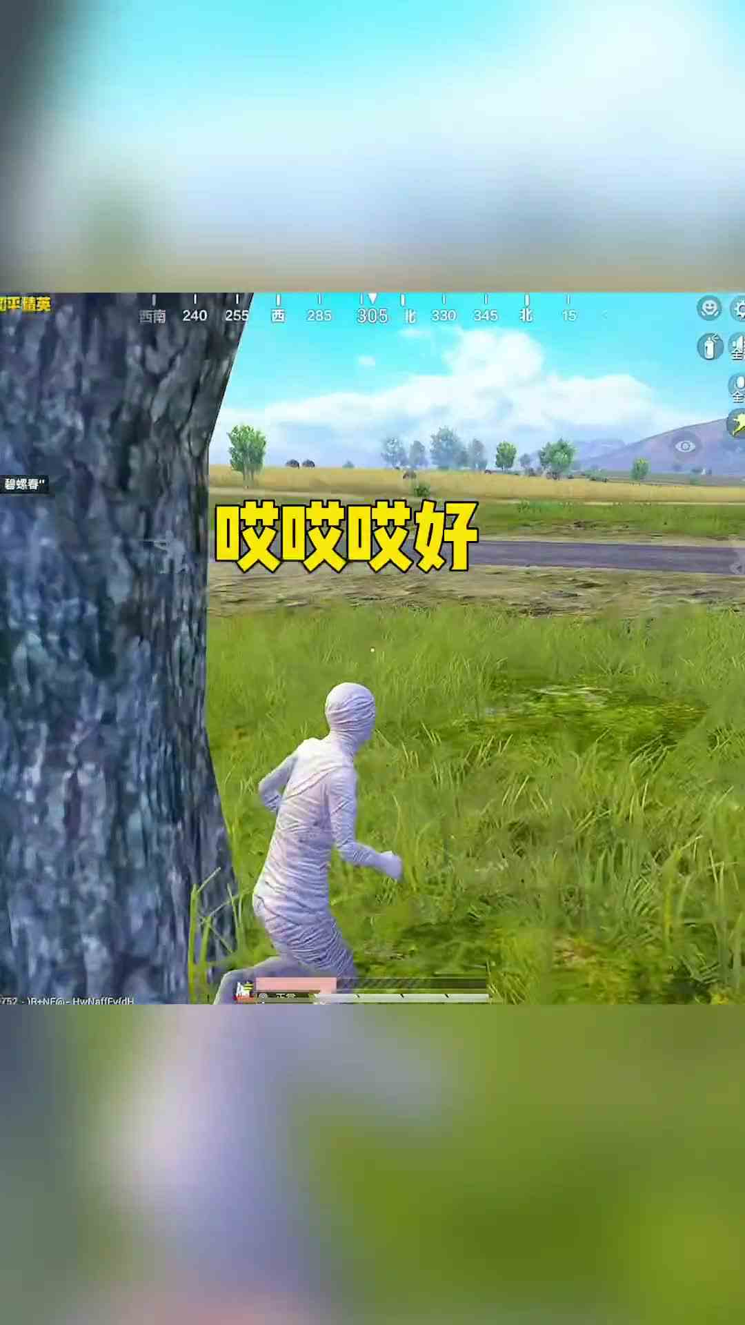 哎哎哎哎哎哎哎和平精英