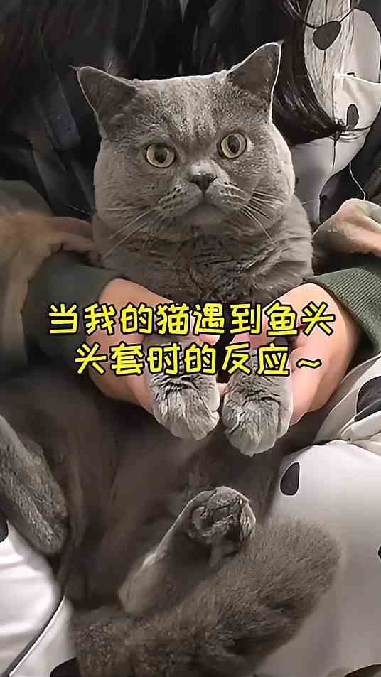 太好玩了哈哈
