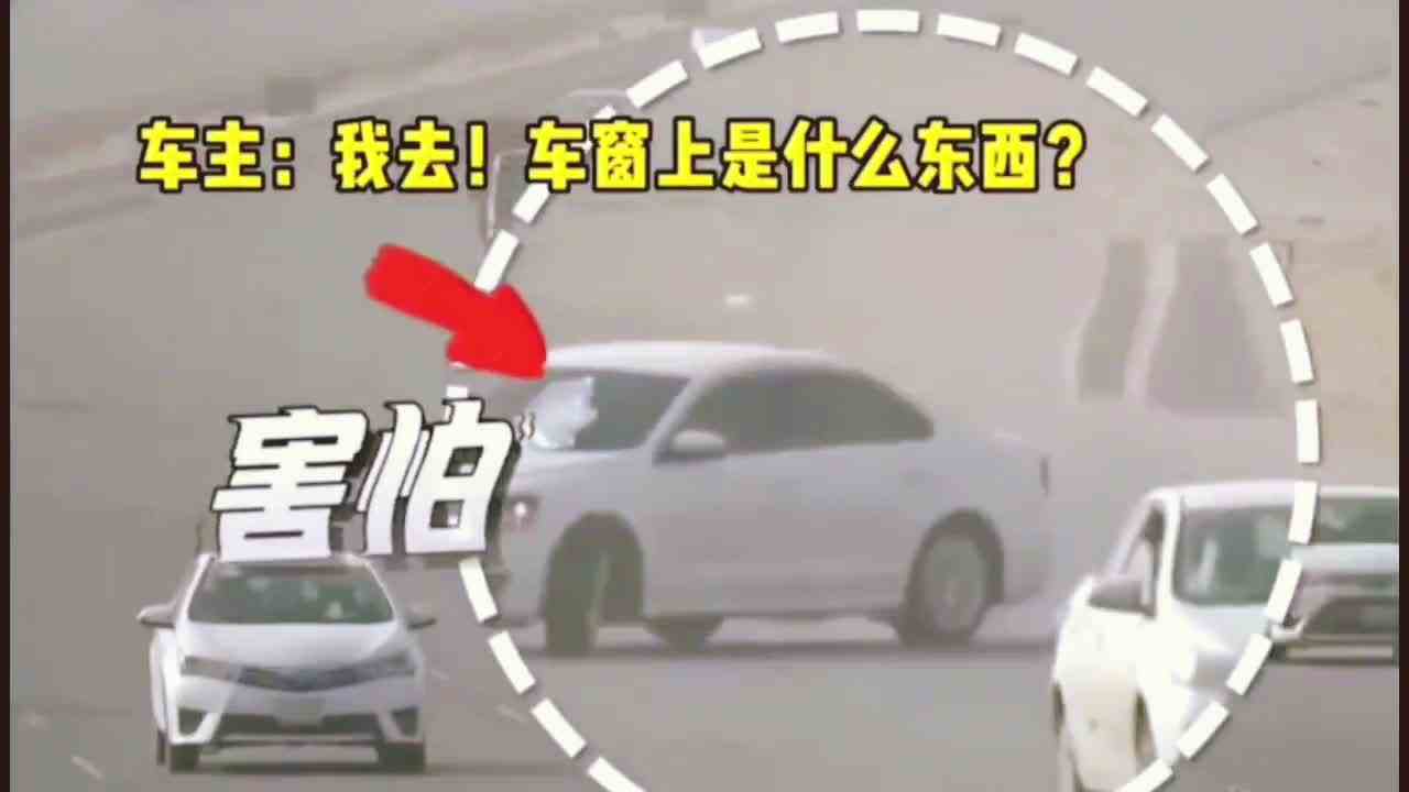 原来跑跑卡丁车都是真的