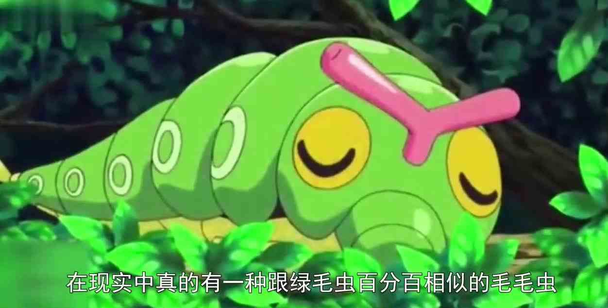 口袋妖怪和现实生活中的生物对比，最弱的才是最强的？