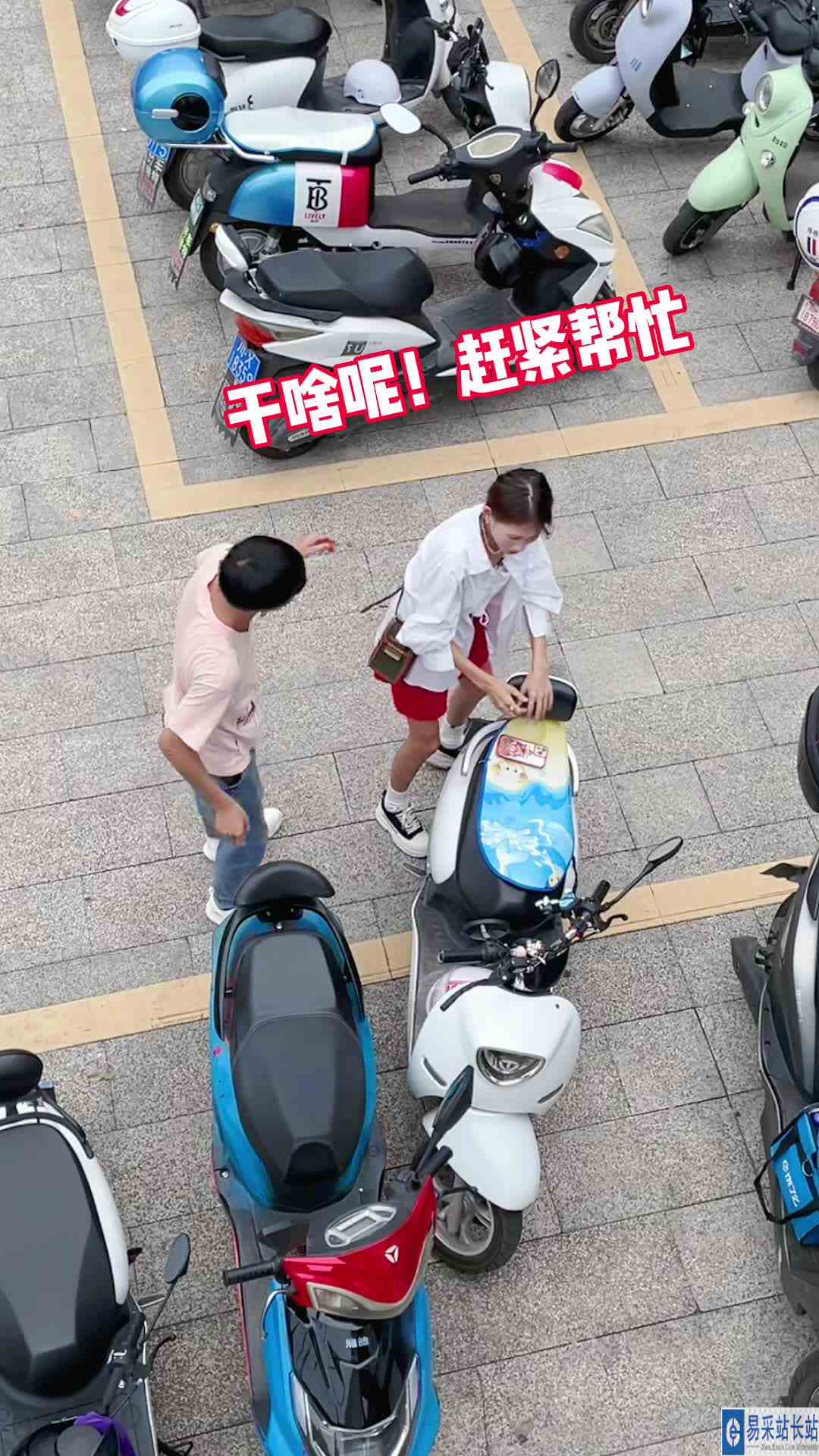 草率了！它还看着呢…… #戏精的日常 
