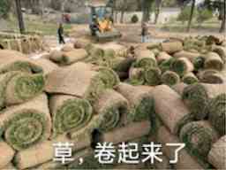 红男绿女才是经典?逆水寒官方为玩家送上大宋正统婚服