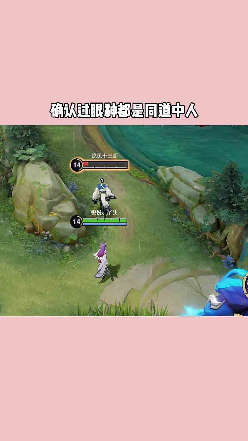 没看见我在追赵怀真吗？