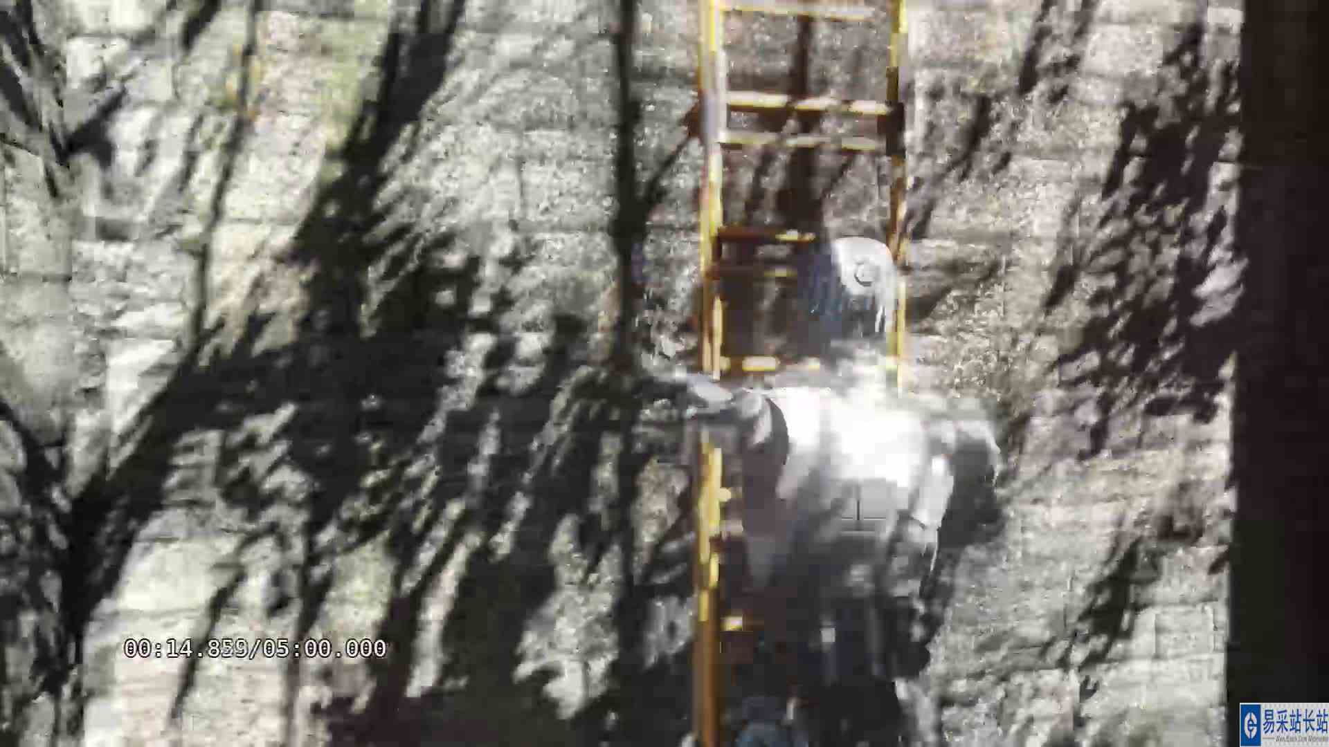 【鱼摆摆】2520《塔罗斯法则》C2关，有记录器之后难度成倍增加