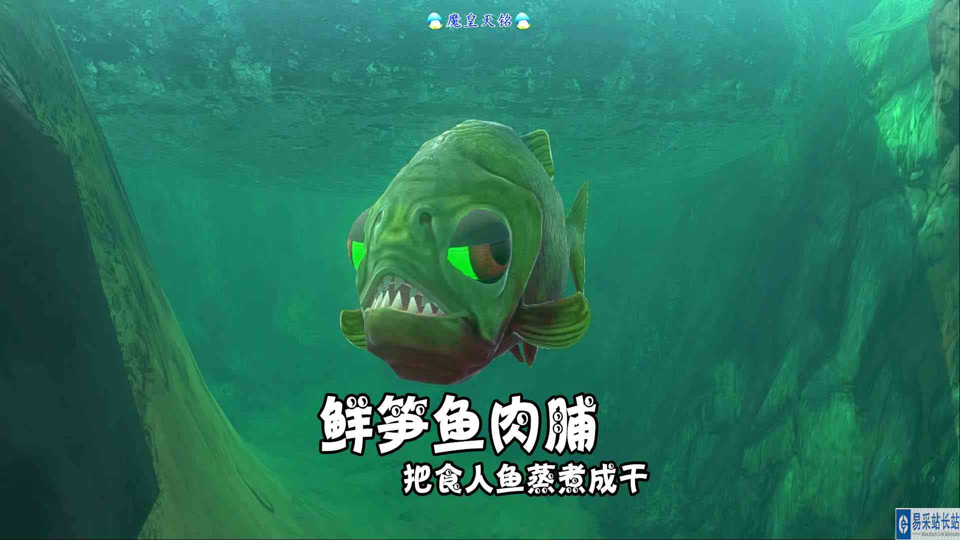 天铭 海底大猎杀 第三季 190 鲜笋鱼肉脯！把食人鱼蒸煮成干？#海底大猎杀
