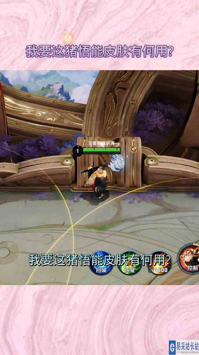 我要这猪悟能皮肤有何用?