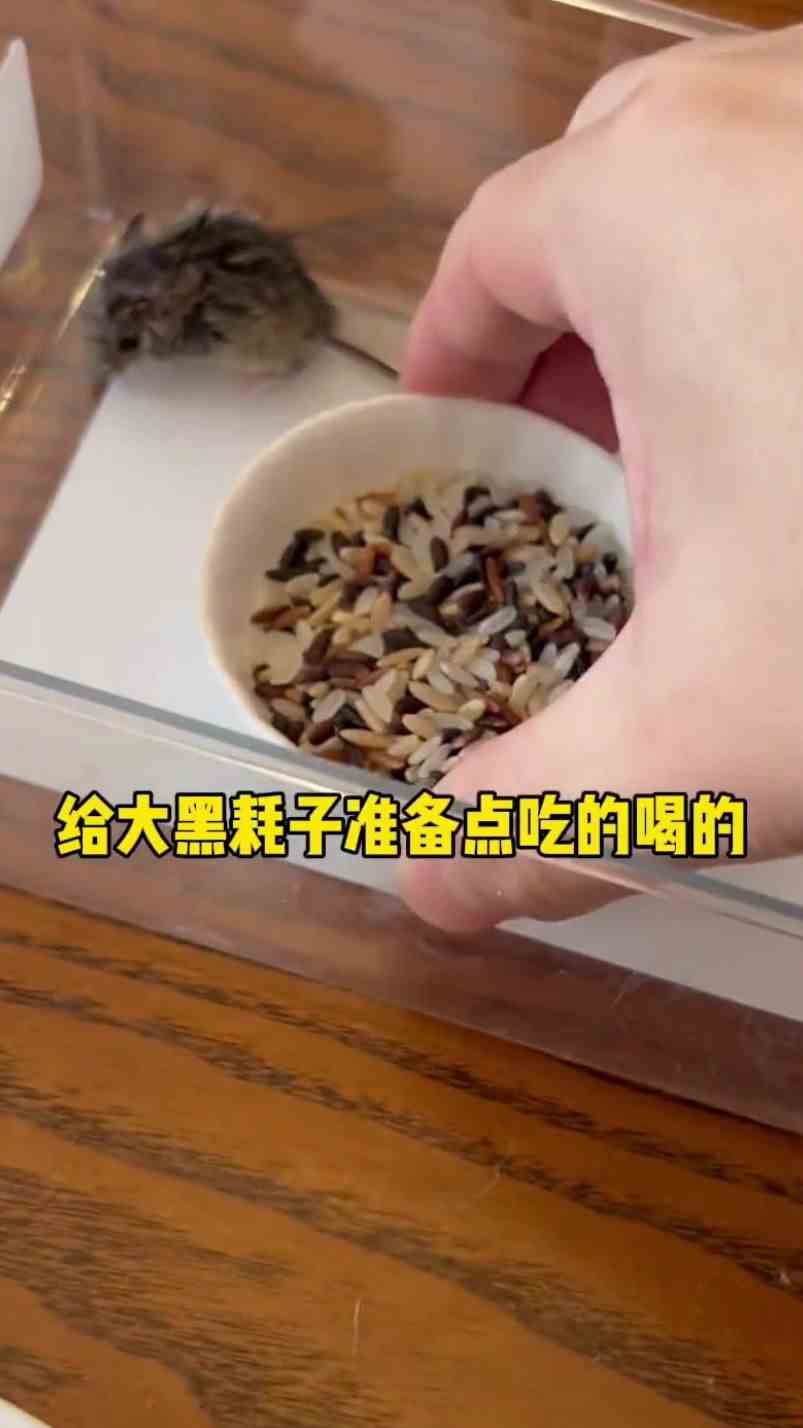 我是万万没想到，马克你不干净了