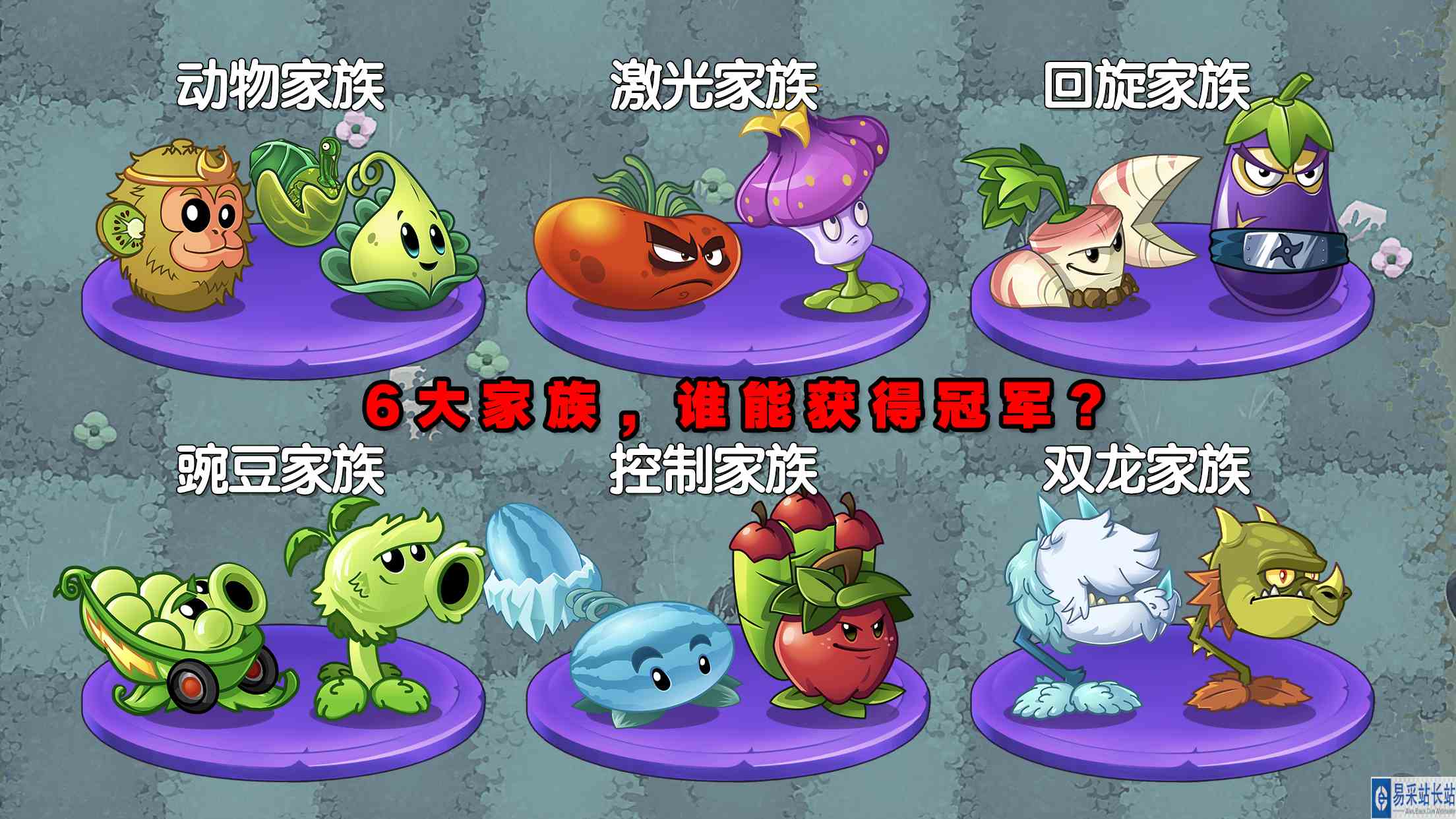植物大战僵尸：6大家族挑战赛，谁能获得冠军？#最强射手组